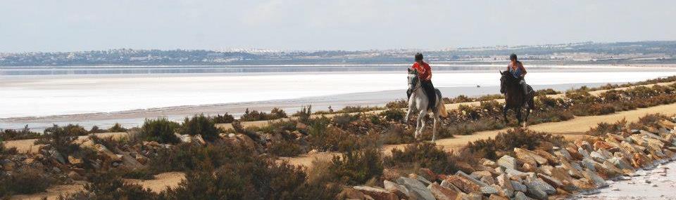 HorseRiding